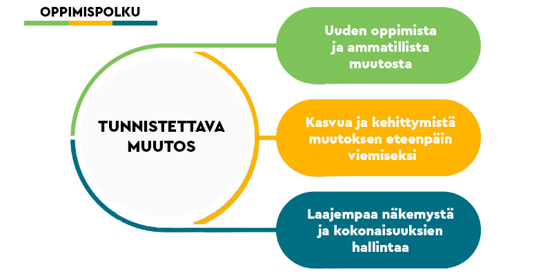 infograafi-opintopolku-v4.jpg