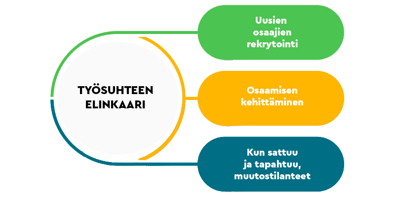 työsuhteen-elinkaari-800x400px.jpg